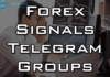 forex signals telegram group