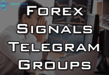 forex signals telegram group