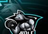 musclewolfbodyfit