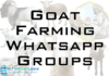 Goat Farming Whatsapp Group Link