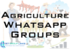 agriculture whatsapp group link