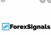 signals-forex-live-56