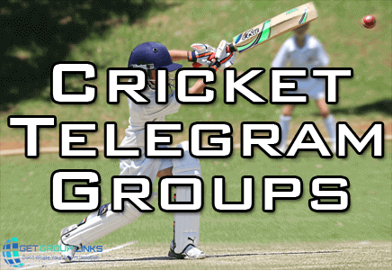 cricket prediction telegram group link