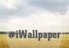 iWallpaper