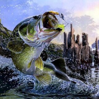 BASS FISHING AT ITS BEST