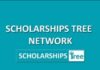 Scholarships Tree
