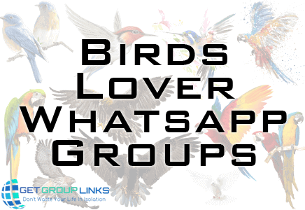 birds whatsapp group link 2022