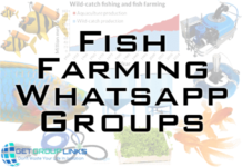 fish farming whatsapp group link