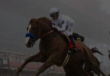 horse-racing-equestrian-sport