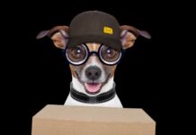 pet-foods-home-delivery