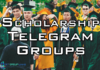 scholarship telegram group
