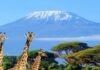 mt-kilimanjaro-fam-tour
