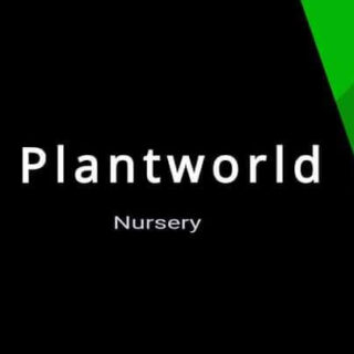 Plant Word