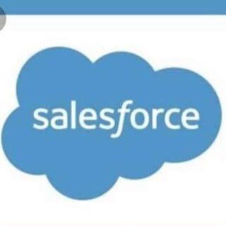 Salesforce Certification Dumps