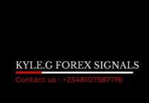 kyle-g-forex-signals