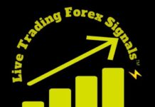 Live Forex Trading Signals