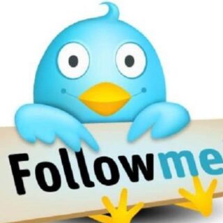 Need Twitter Followers