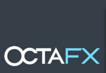 Octafx Team