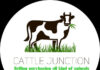 Cattle Junction