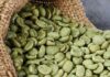 Ethiopian Green Coffee