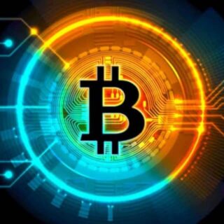bitcoin-investors