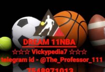 DREAM 11 NBA Professor