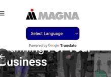 magna-wealth-limited