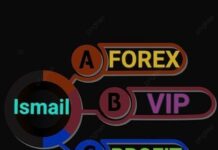 Forex Vip Profit