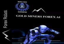Gold Miners FX Official