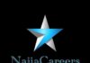 Naija Careers