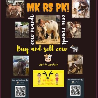 buy-and-sell-cow-goats