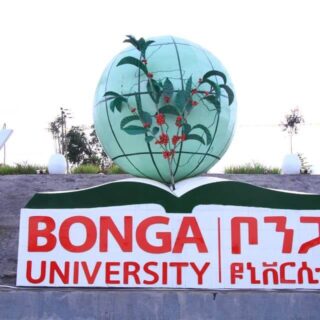 bonga-university-official