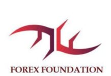 forex-foundationl