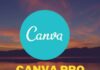canva-designers