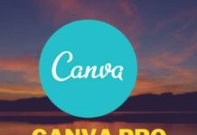 canva-designers