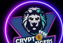 crypto-tigers