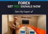 forex-free-signals-3