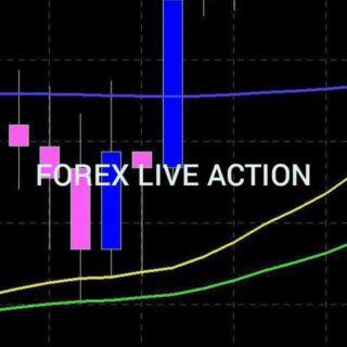 forex-live-action