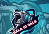 bala-id-sale-trusted