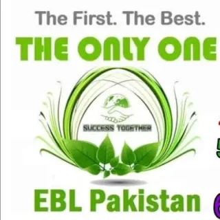 ebl-pakistan-online-earning