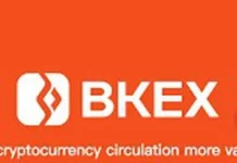 bkex-trading-investment-platform