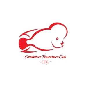 coimbatore-flowerhorn-club