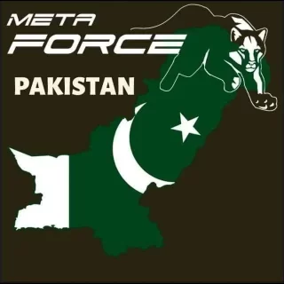 meta-force-tiger-team