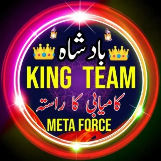 1king-team-meta-force