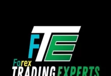forex-trading-expert