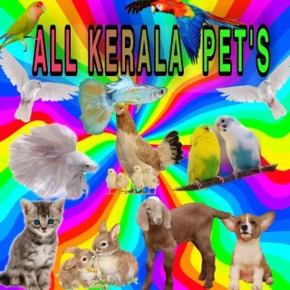 all-kerala-pets