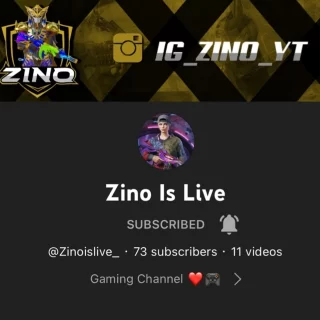zino-is-live