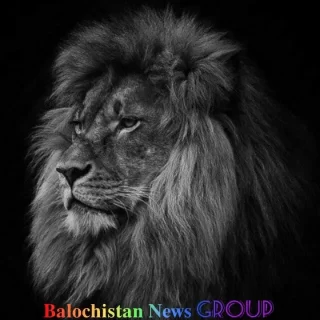 balochistan-news