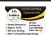 ebl-pakistan-online-earnings-2