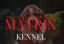 matrix-kennel